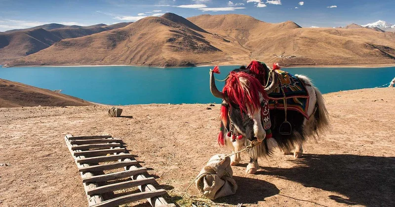 Đi du lịch Tây Tạng